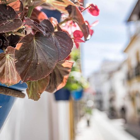 Seaclub Suites Estepona By Roomservices Eksteriør bilde
