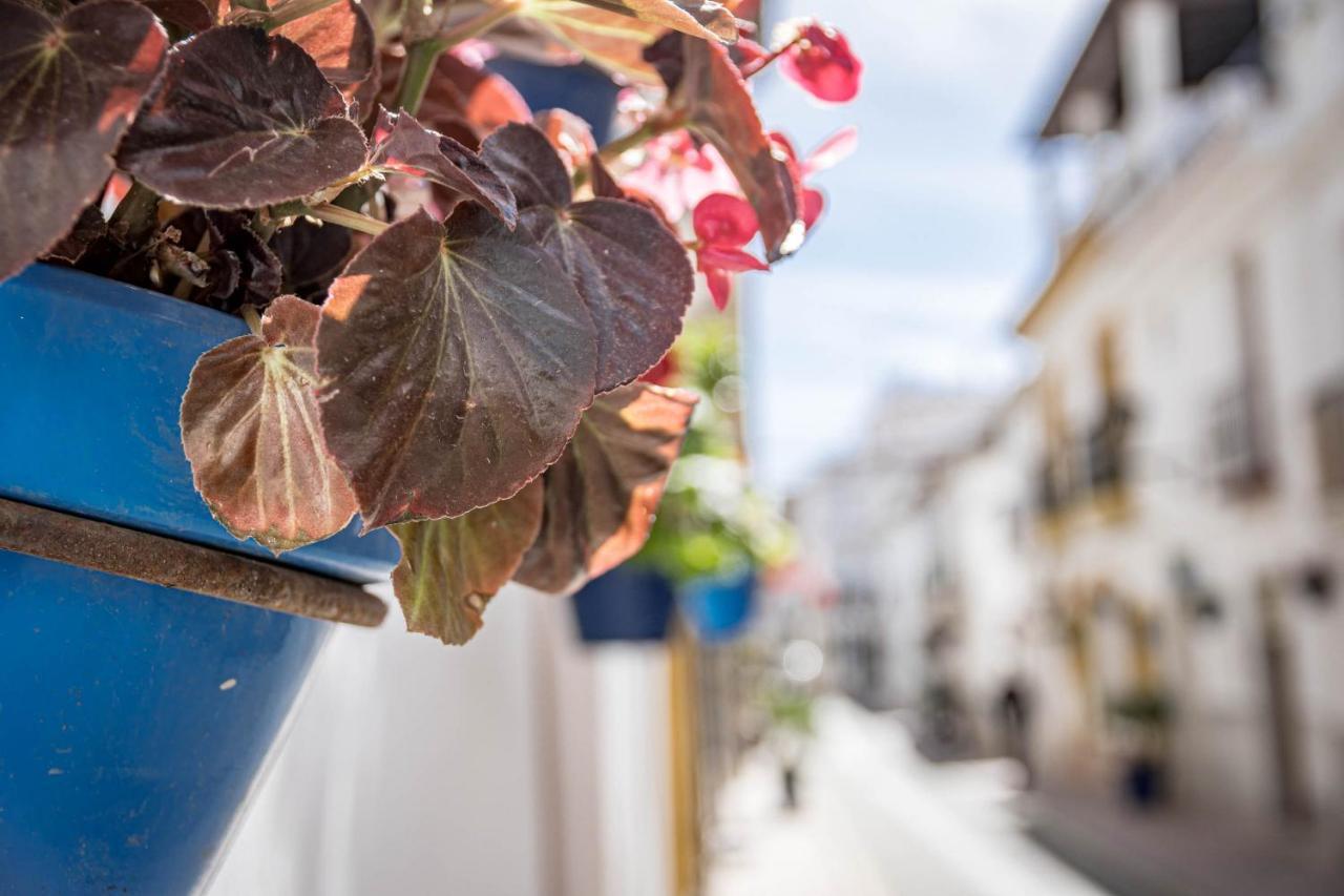 Seaclub Suites Estepona By Roomservices Eksteriør bilde